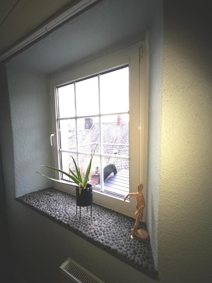Mooi Ruim Appartement In Antieke Stadsboerderij Schonecken Ngoại thất bức ảnh